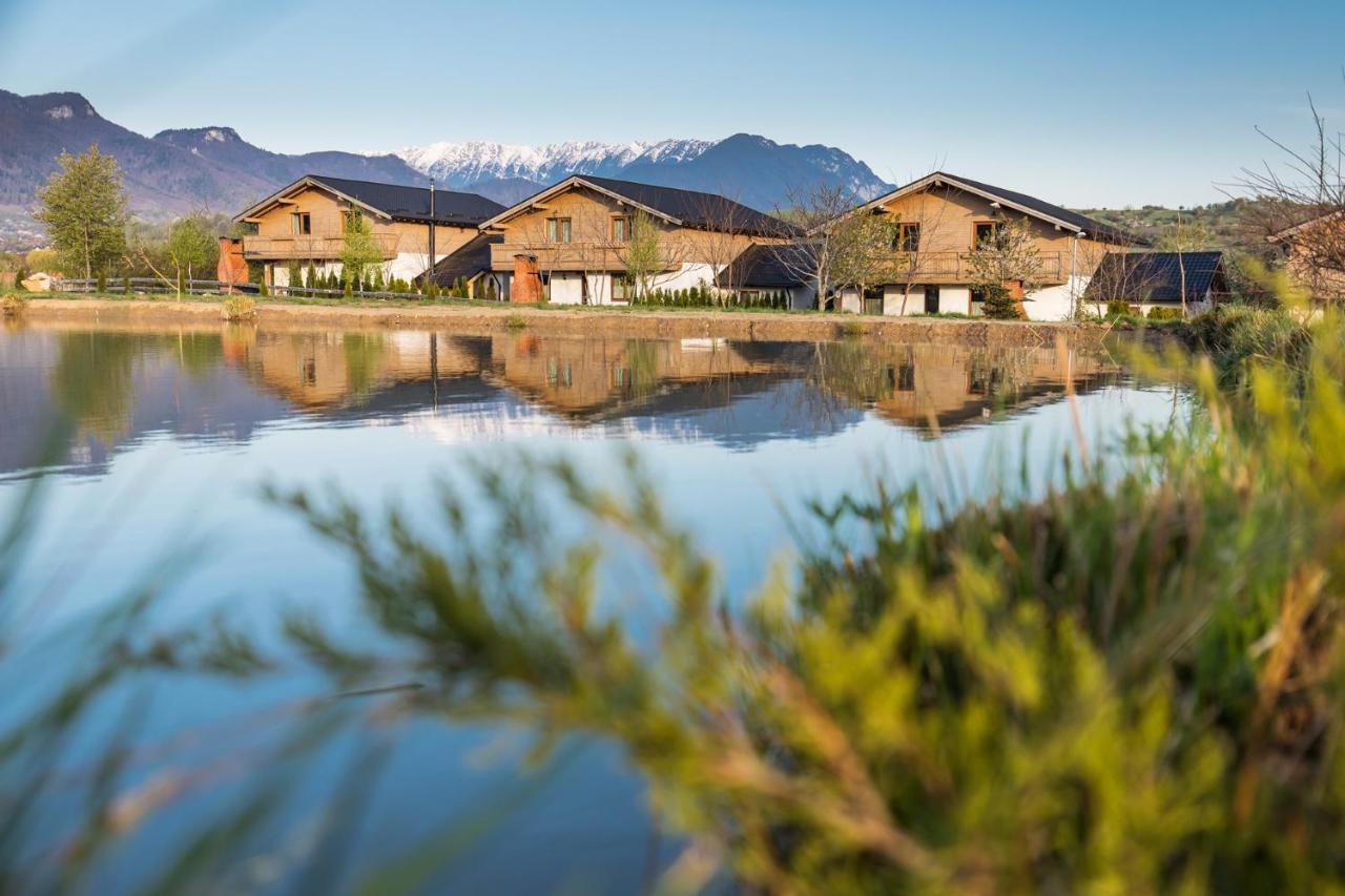 Green Resort Bran Bran  Luaran gambar
